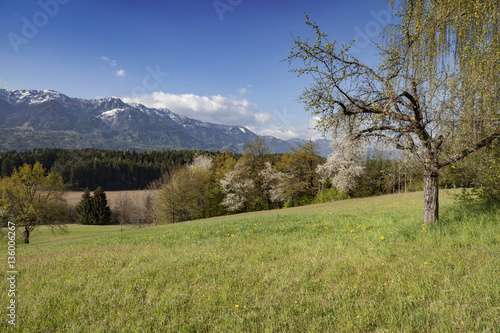 Am Aichwaldsee