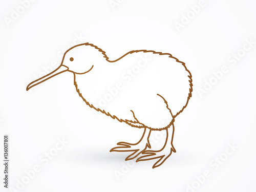 Kiwi bird outline graphic vector.