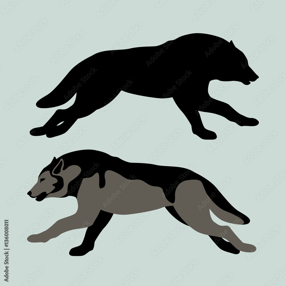 wolf vector illustration style Flat silhouette black