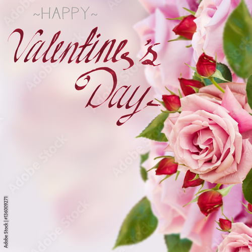 pink garden roses with buds with happy valentines day greetings