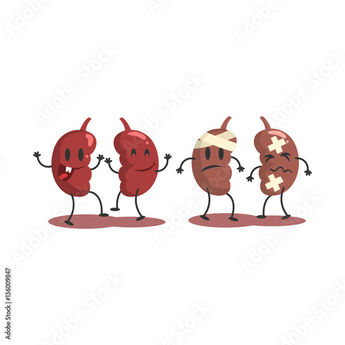 Kidneys Human Internal Organ Healthy Vs Unhealthy, Medical Anatomic Funny Cartoon Character Pair In Comparison Happy Against Sick And Damaged