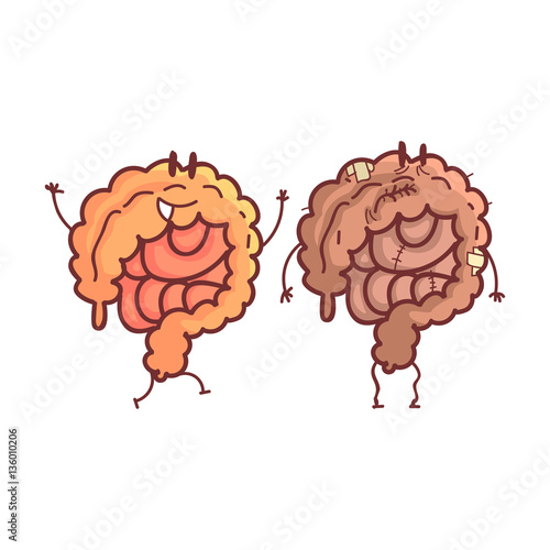 Large Intestine Human Internal Organ Healthy Vs Unhealthy, Medical Anatomic Funny Cartoon Character Pair In Comparison Happy Against Sick And Damaged