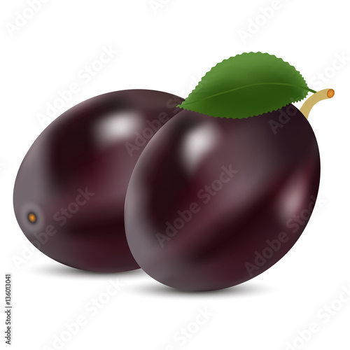 ripe purple plums on white background gradient mesh made