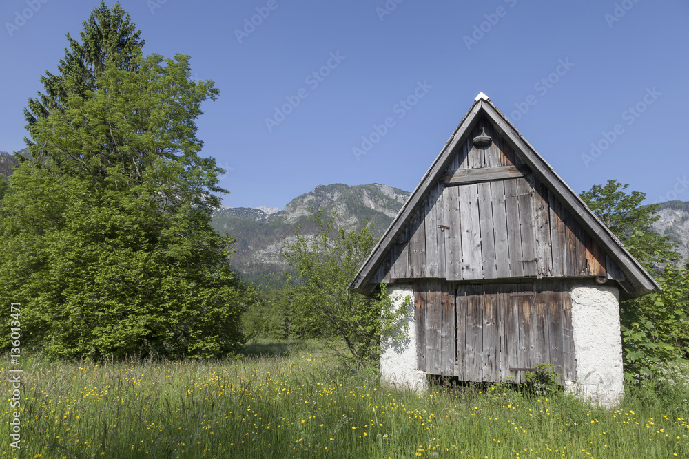 Am Wocheiner See Am Wocheiner See