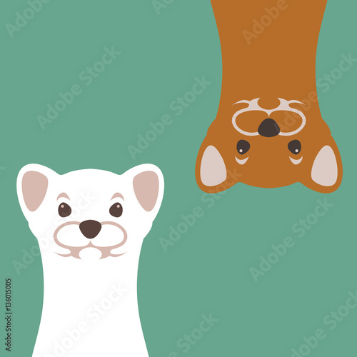 weasel vector illustration style Flat