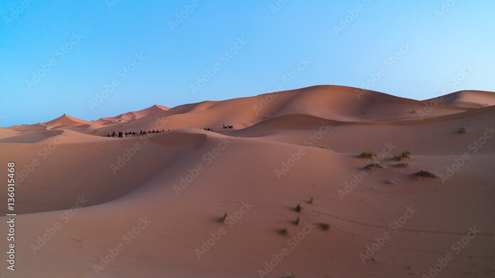  Sahara desert ,Morocco
