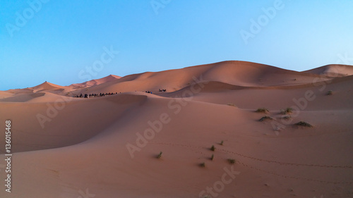  Sahara desert ,Morocco 