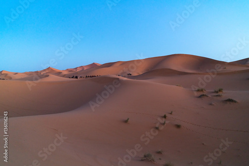  Sahara desert  Morocco  