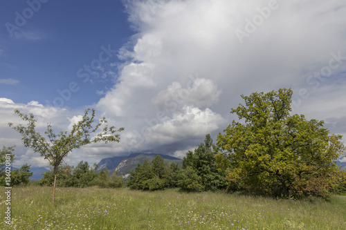 Frühling in Kaernten