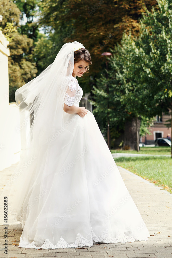 Obraz premium Look from behind at bride fixing her dress