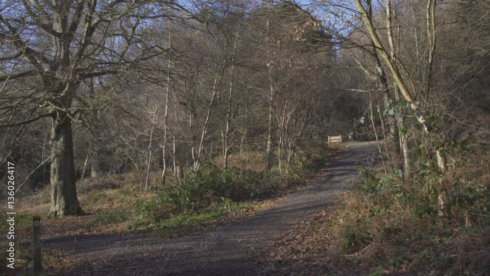 English Countryside near London. Early spring beech wood. Copy space background. The path with the pointer. English Countryside near London. Early spring beech wood. Copy space background. The path with the pointer.