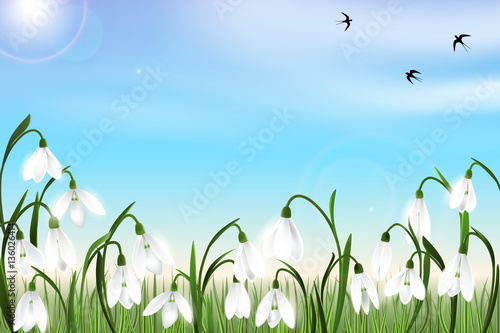 Spring background