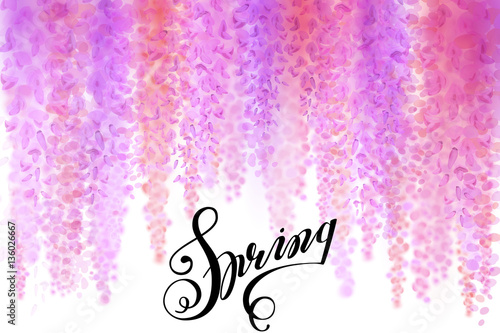 Advertisement about the spring sale on defocused background with beautiful blooming wisteria. Vector illustration