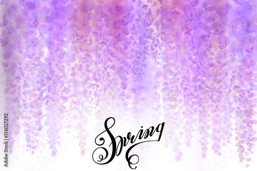 Advertisement about the spring sale on defocused background with beautiful blooming wisteria. Vector illustration