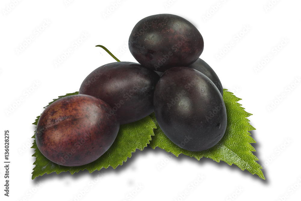 Fototapeta premium Plum blackenning