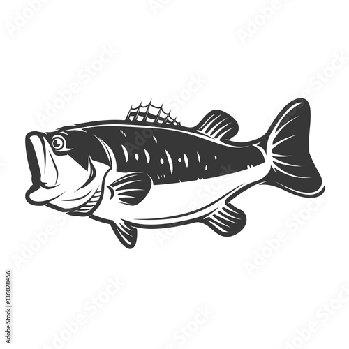  bass fish icons isolated on white background. Design element fo