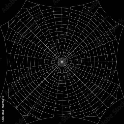 Spiderweb. Isolated on black background. Vector outline illustra