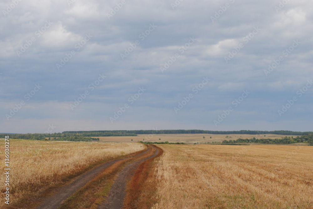 Monochrome autumn landscape. Cloudy sky, the boundless field. Open space, road, infinity