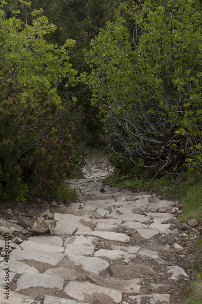 Fototapeta premium Hiking trail in mountain 