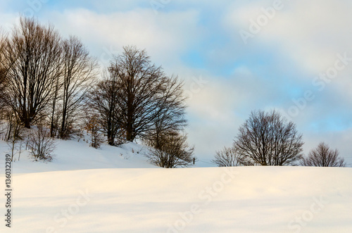 Trees without leaves in the snow front. View of winter mountains
