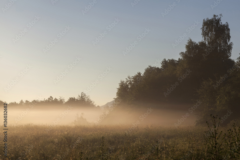 Landschaft in Kaernten, Oesterreich