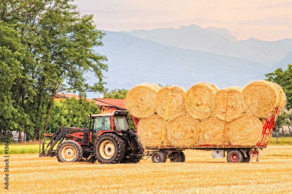 Obraz premium Tractor with car upload of hay bale