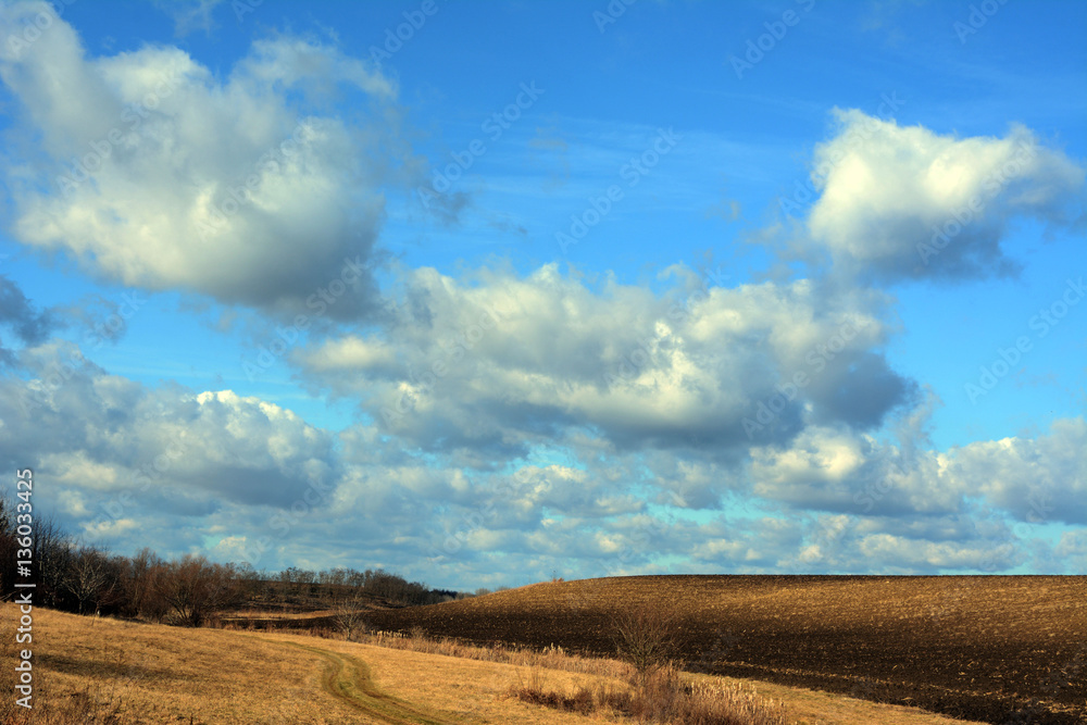 Fototapeta premium Landscape with clouds, fields and path.