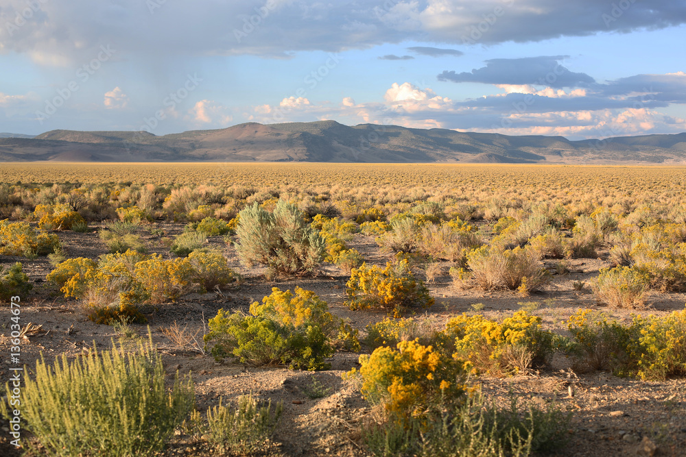 Landscape in Utah, USA