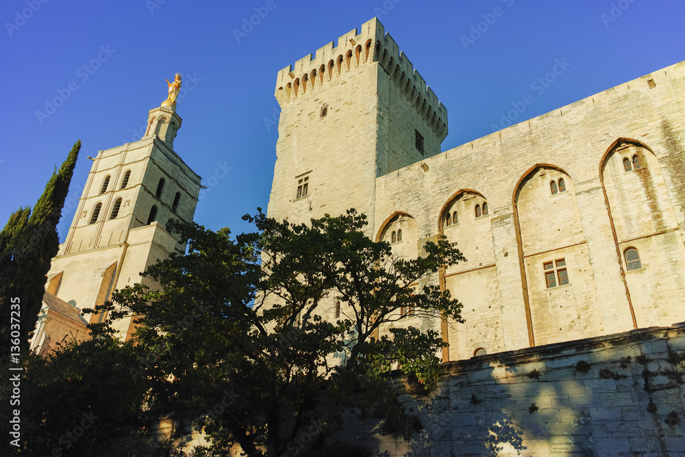 Fototapeta premium Palais des Papes in Avignon
