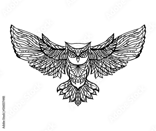 Hand drawn vector doodle  owl illustration.  Adult antistress coloring page.