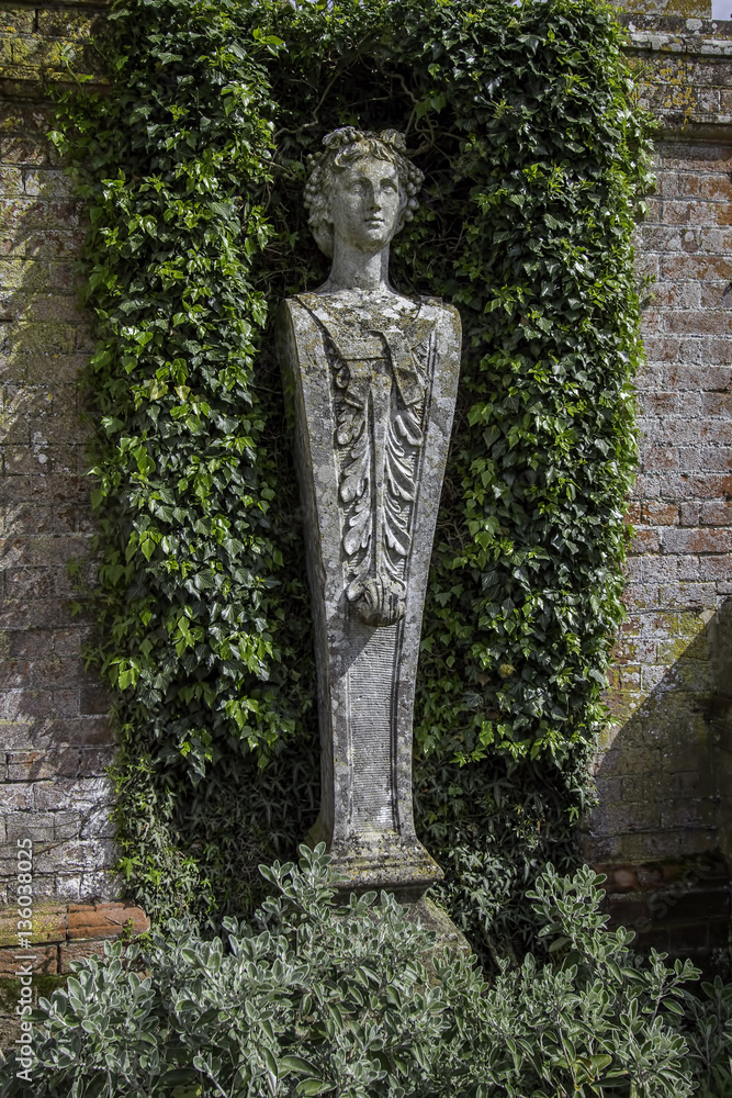 Garden wall statue framed by ivy and brachyglottis plants Garden wall statue framed by ivy and brachyglottis plants