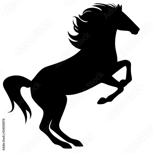 rearing horse fine vector silhouette - black over white