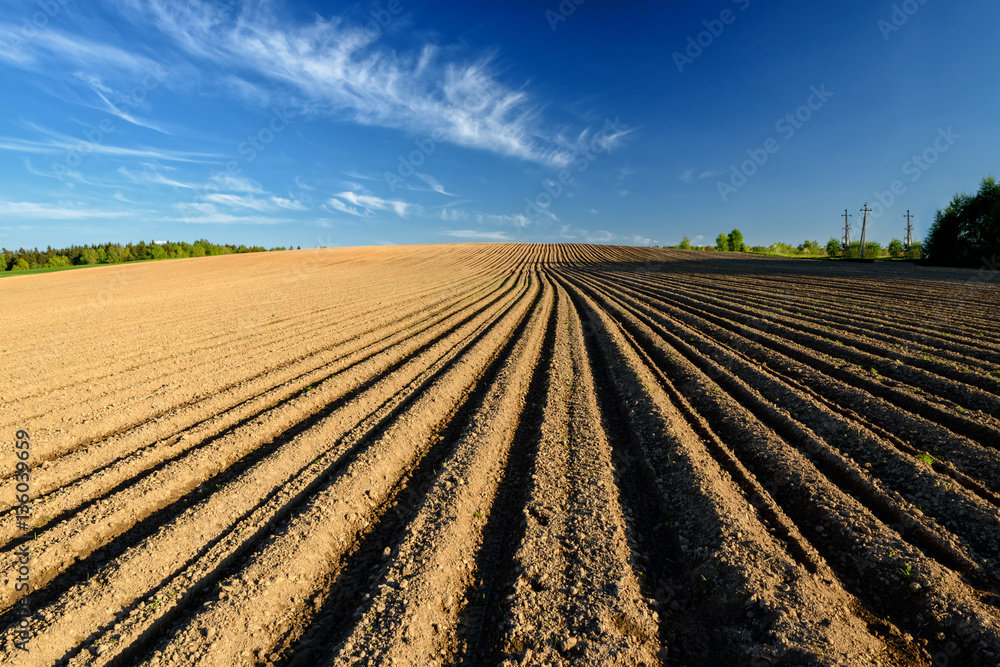 Simple country landscape with plowed fields and blue skies. Simple country landscape with plowed fields and blue skies.