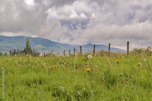 Ecuadorian Andean Landscape Scene