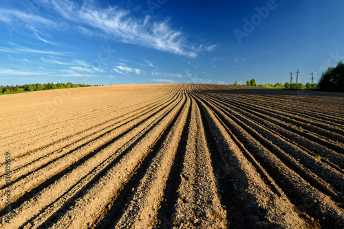 Simple country landscape with plowed fields and blue skies.