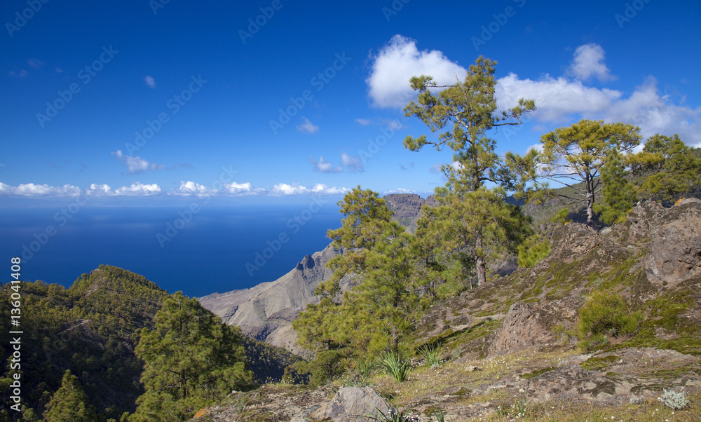 Central Gran Canaria