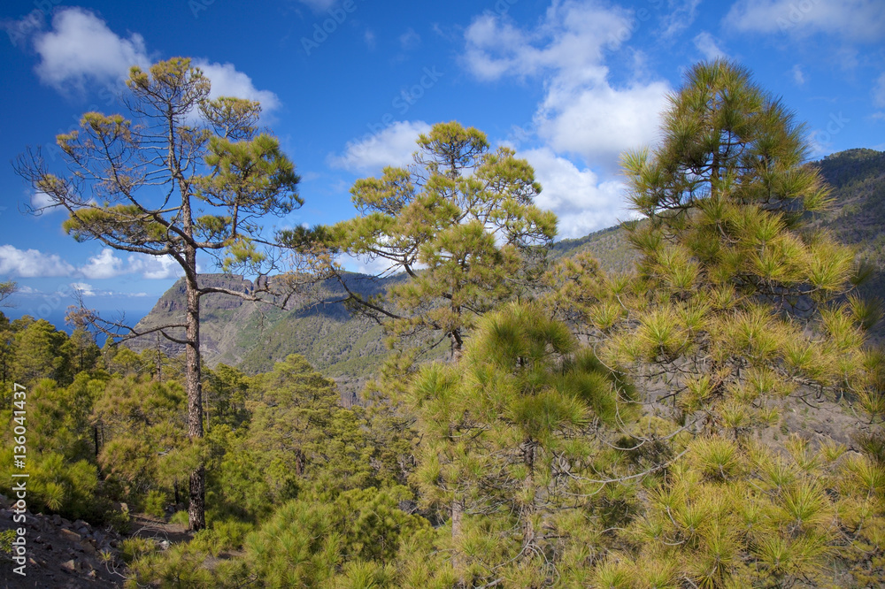 Obraz premium Central Gran Canaria