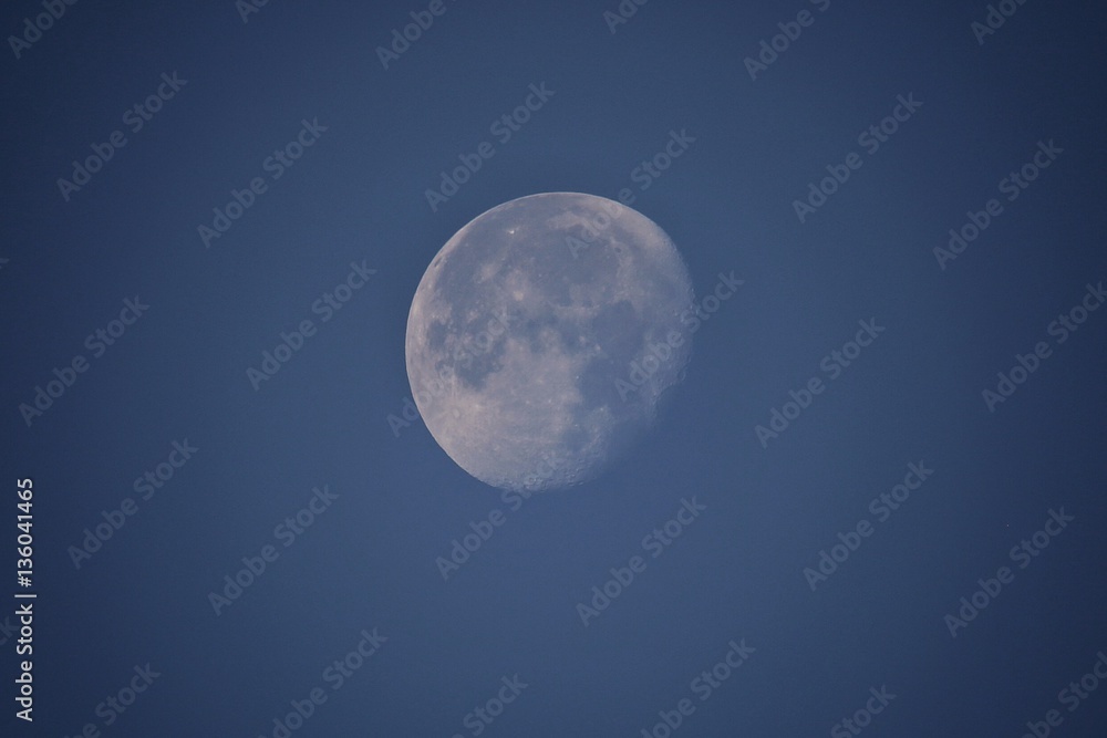 moon moon