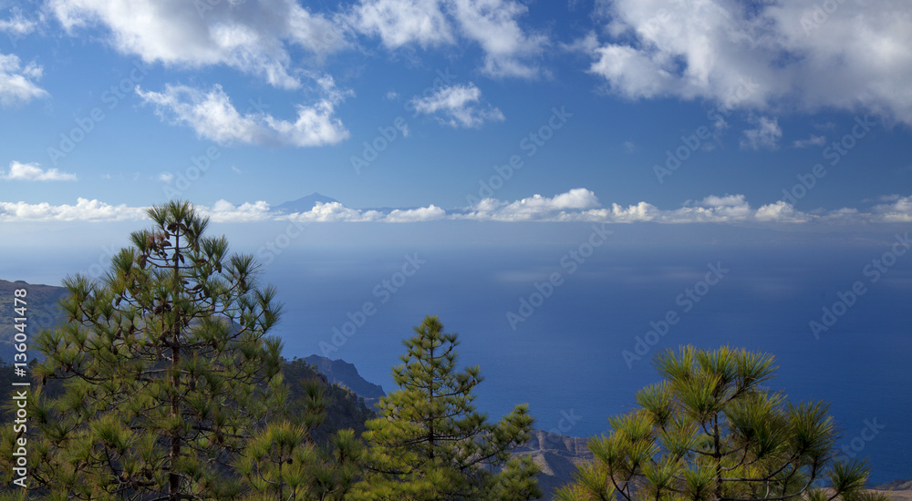Central Gran Canaria Central Gran Canaria