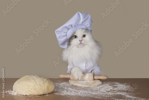 Fototapeta Naklejka Na Ścianę i Meble -  cat prepares the dough for baking
