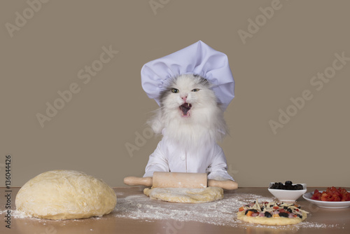 cat chef preparing a pizza