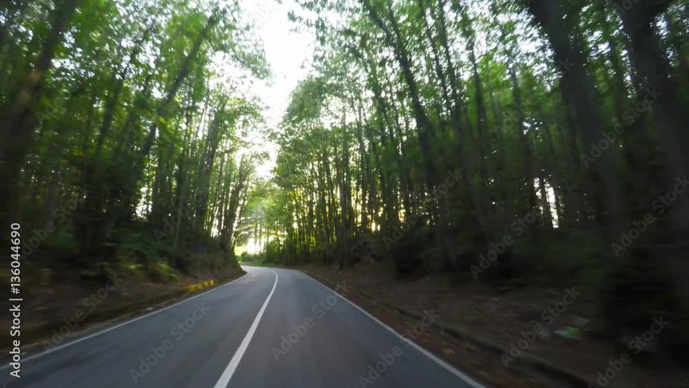 Mountain Road, Trees, Forest, Real Time, 4k
Mountain Road, Trees, Forest, Real Time, 4k