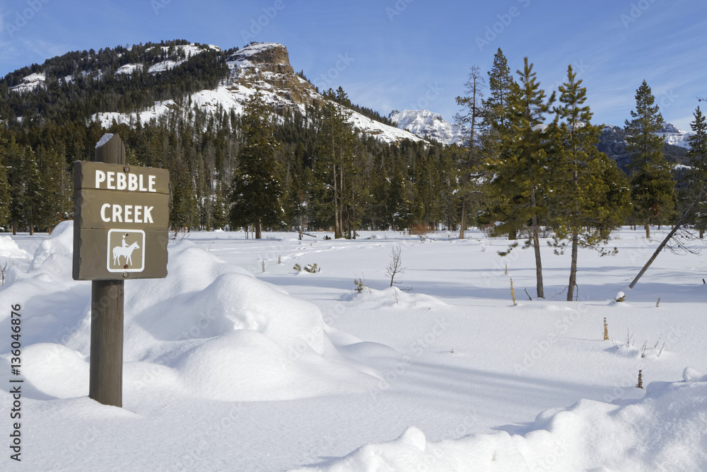 Fototapeta premium Rest place in winter landscape, Yellowstone National Park
