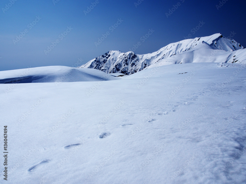 snow mountains at Tateyama Kurobe Alpine Route, Japan