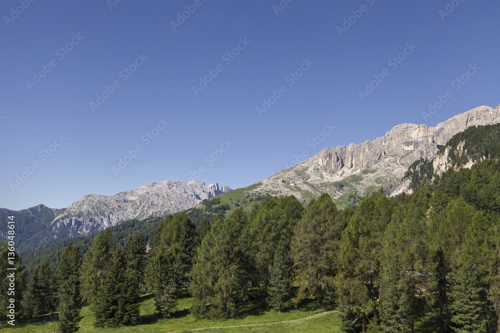 Rosengarten in Suedtirol