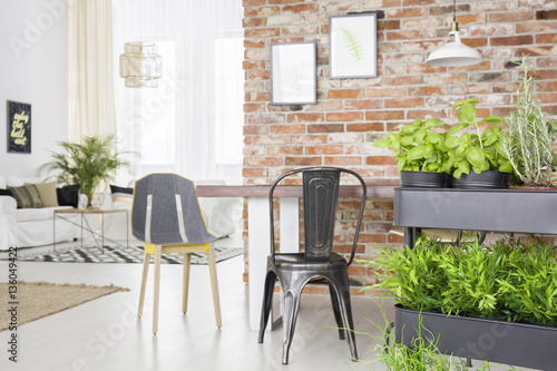 Modern apartment with herbs cart