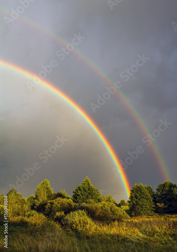Fototapeta Naklejka Na Ścianę i Meble -  beautiful rainbow after rain