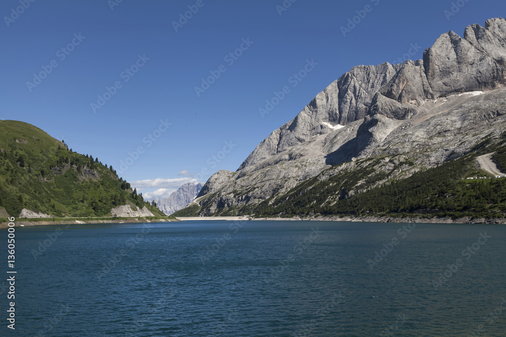 Fototapeta premium Marmolada