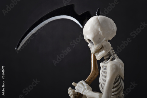 A close-up portrait of a skeleton holding scythe