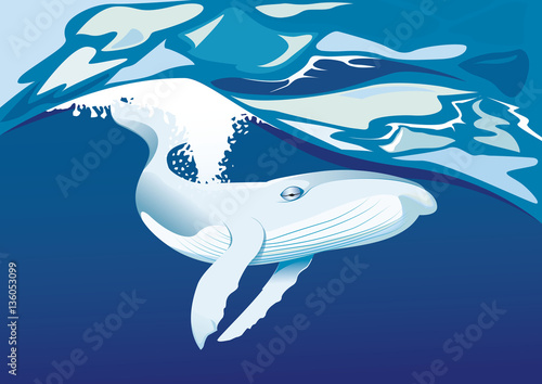 Baleine dansant sous l eau